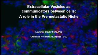 Extracellular Vesicles as Communicators Between Cells - A Role in Cancer Dissemination