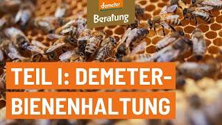 Demeter-Bienenhaltung | Einführung in Grundlagen und Praxis