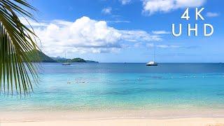"Sunshine Therapy:" Virtual Vacation to The Perfect Tropical Beach (4K Video)