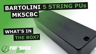 Bartolini MK5CBC 5 String Bass Pickup: What’s In The Box (A Close-Up Look)