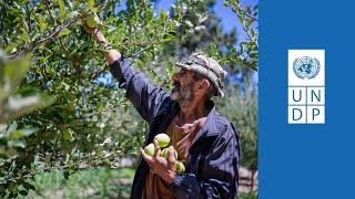 Working on irrigation infrastructure to support Lebanon's agricultural sector