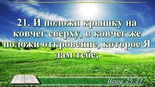 Видео Библия Книга Исход без музыки глава 25 Бондаренко