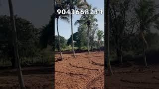 farm land for sale near bangalore - individual farmland for in hosur