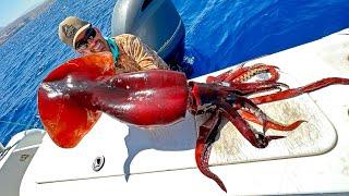 I Caught a Giant Squid in the Middle East