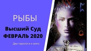 Рыбы. Высший суд. Февраль 2020