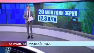 Урожай-2020 | Актуально