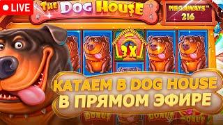 ПРОВЕРЯЮ СЛОТЫ.КРУТИМ СЛОТЫ. ЛОВИМ ЗАНОСЫ   #shorts #art #trending #youtubeshorts #casino