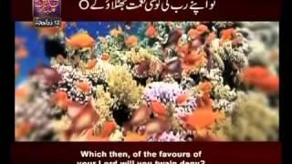 Surah Ar Rehman n° 55 Urdu & English Translate By Qtv   YouTube