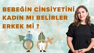 Bebeğin Cinsiyetini Kim Belirler? Kadın mı, Erkek mi?