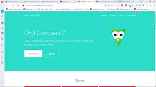 FIXED: Owl Carousel css set to display:none when page has loaded