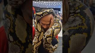 A python wraps itself around a firefighter's body in seconds