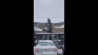 Watch: Avalanche Of Snow, Ice Crashes Off Roof