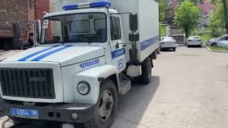 В Иркутской области полицейские раскрыли незаконную рубку леса