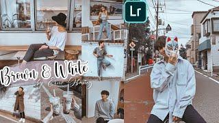 Brown and White Preset - Free Lightroom Mobile Presets Free Dng Xmp - Brown & White Tone