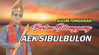 AEK SIBULBULON SULIM TONGOSAN | BERTUA SITANGGANG