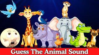 Guess the Animal Sounds for Kids | Animal Sound Game | Videos for Kids