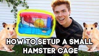 How to PROPERLY setup a SMALL Cage for a HAPPY & HEALTHY Hamster!!!