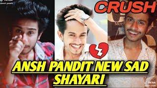 Ansh pandit tiktok shayari | Ansh pandit new sad shayari | crush shayari