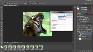 Create an Animated Gif in Photoshop CS6