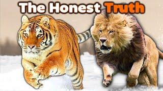 SIBERIAN TIGER vs LION - The Honest Truth