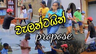 ආදරවන්තයන්ගේ දිනය වෙනුවෙන්  | valentine proposal prank| valentine  | new video in Sri Lanka 2023.