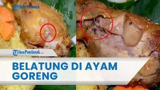  Banyak Belatung di Dalam Ayam Goreng & Nasi Kuning