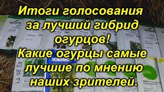 Огурец №1 по рейтингу зрителей канала "Сад, огород, своими руками!"