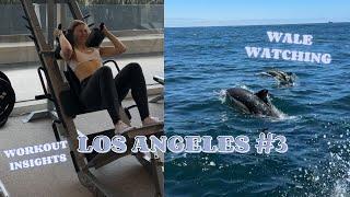 vlog 29: LOS ANGELES #3 - Workout Routine im Urlaub, Whalewatching + Sephora Haul