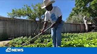 Meet Mississippi Joe, 72-year-old Bay Area man using his garden to cultivate close-knit community