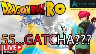 The Top 1 low rate Ragnarok Online Server Adventures RO Dragon ball RO| GATCHA TIME????