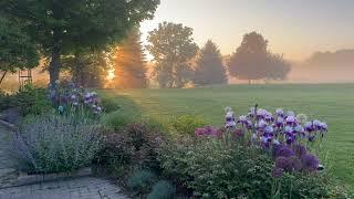 Garden has entered its peak, It's especially beautiful from every angle !