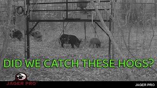 JAGER PRO® TV | URBAN HOG CONTROL: THE WAITING GAME