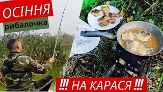 Рибалка в Польщі. Осінній карась на поплавок