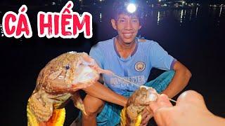 Giăng Câu Dính Cá Mao Ếch | #66TV #fishing