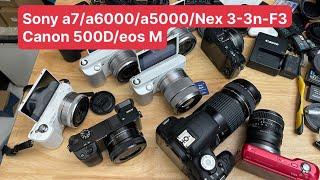 Máy ảnh cũ 1/7 Sony a7/a6000/a5000/Nex 3-3N-F3 Canon 500D/Eos M ...