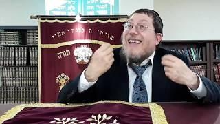 Achieving real HAPPINESS the TORAH way with Rabbi Faivish Mordechai Dalfin