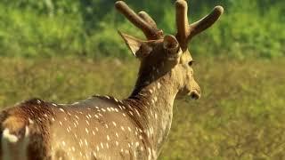 ODISHA - A Unique Destination for Nature Tourism