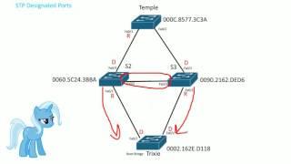 STP Designated ports