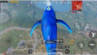 كيف تظهر الحوت الازرق في ببجي التحديث الجديد مود اطلانتس 3.3 PUBG MOBILE 