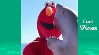 Shark Puppet Beyond Vine - Funny Shark Puppet Instagram Videos 2019