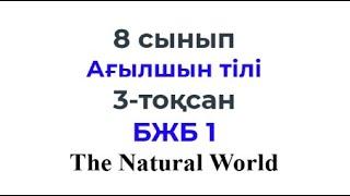 8 сынып Ағылшын тілі 3-тоқсан БЖБ-1 тапсырмаларын талдау