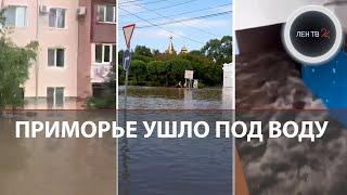 В Уссурийске самое разрушительное наводнение за 10 лет | Приморье под водой |Тигры пришли за помощью