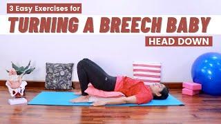 How to Turn a Breech Baby into Head Down position | 3 Exercise to Help Naturally Flip a Breech Baby