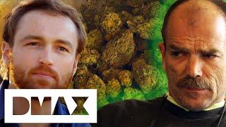 Cannabis Grower Is Cautious Of His New Potential Business Partner | Weed Country