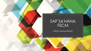 SAP S4 HANA FSCM Credit management