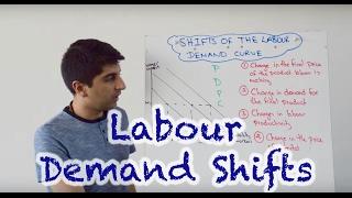 Labour Demand Curve Shifts