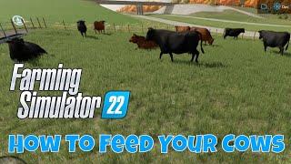 How to Feed Your Cows  | Farming Simulator 22 Tutorial