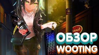 ИМБА ДЛЯ OSU!? Wooting 60he ОБЗОР