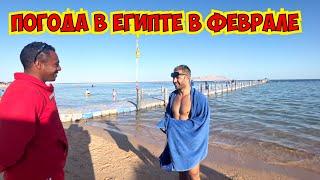 ПОГОДА В ЕГИПТЕ В ФЕВРАЛЕ! ШАРМ ЭЛЬ ШЕЙХ