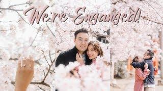 SURPRISE PROPOSAL! We’re engaged! | Angel Yeo